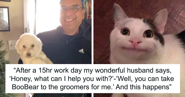 Man Doesn’t Notice That The White Dog He Picked Up From The Groomers Is Not Theirs, Wife Is In Stitches