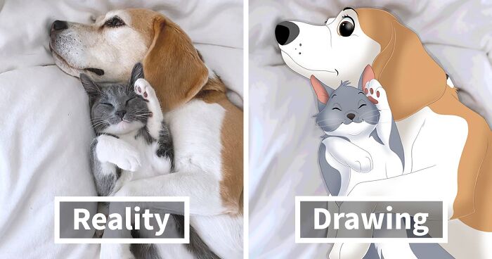 People Send Pictures Of Their Pets To This Artist To Turn Them Into Disney Characters (79 Pics)