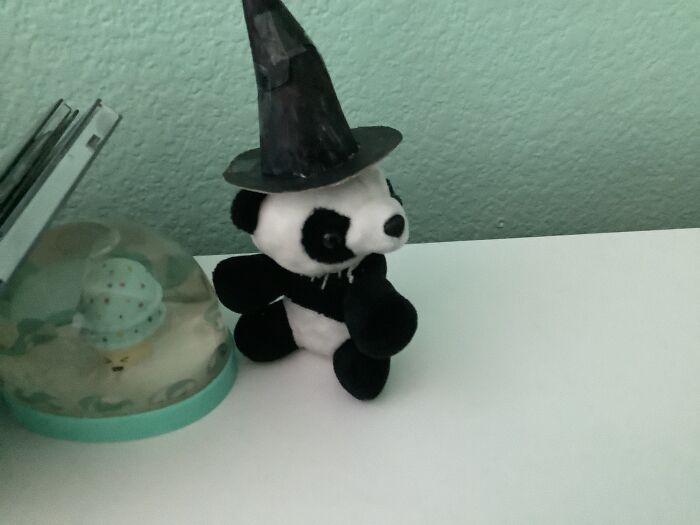 Bad Photo But…this Is Hobbes He Is A Witch