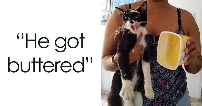 35 Pics Of Animals Being Absolute Rebels, As Shared By This Twitter Page