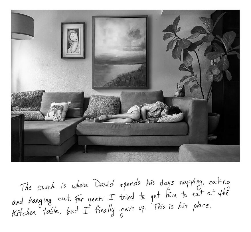 The Couch © Debe Arlook