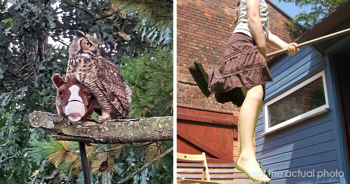 Man Captures Owl Flying Away With Child’s Hobby Horse Like A Witch Riding A Broom, Leaves The Internet In Stitches