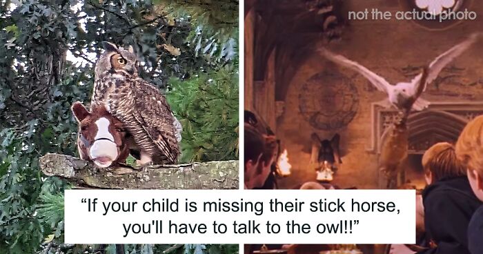 Man Captures Owl Flying Away With Child’s Hobby Horse Like A Witch Riding A Broom, Leaves The Internet In Stitches