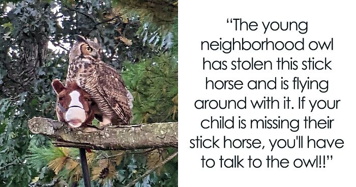 Man Captures Owl Flying Away With Child’s Hobby Horse Like A Witch Riding A Broom, Leaves The Internet In Stitches