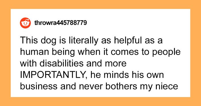 Woman Picks Husband's Service Dog Over Family After Brother Asks That Husband's Service Dog Leave During Their Stay