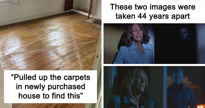 37 Interesting Horror-Related Posts Shared On This Page Dedicated To All Things Scary