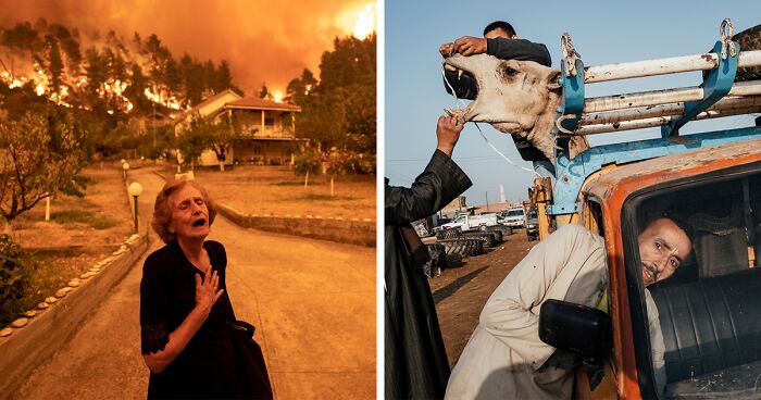 32 Best Pictures Of The Year Selected By The Siena International Photo Awards 2022