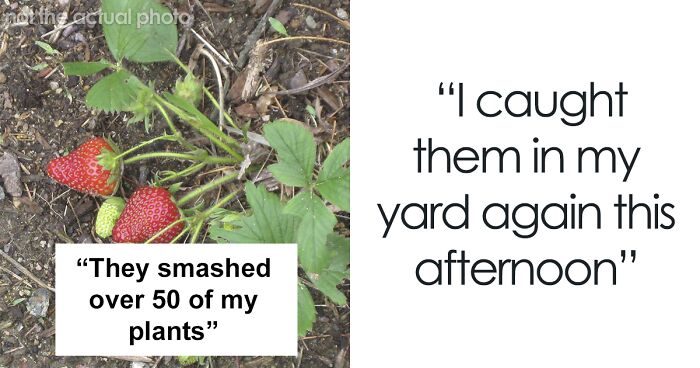 Guy Catches Neighbors' Kids Stealing His Strawberries, Sprays Them Down With A Hose To Teach Them A Lesson, Now One Parent Wants To Sue Him For Damages