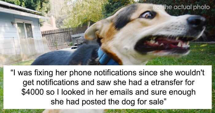 Mom Stirs Up Trouble By Claiming The Dog Her Son’s Father Gave Him Ran Off When She Actually Sold It For $4K