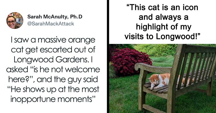 People Are Cracking Up At This Tweet In Which A Woman Tells How She Saw A Cat Being Escorted From A Botanical Garden