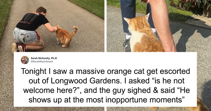 People Are Cracking Up At This Tweet In Which A Woman Tells How She Saw A Cat Being Escorted From A Botanical Garden