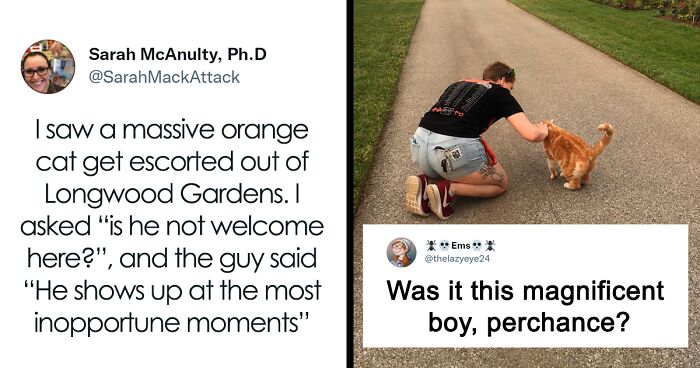 People Are Cracking Up At This Tweet In Which A Woman Tells How She Saw A Cat Being Escorted From A Botanical Garden