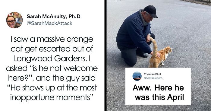 Woman Shares How She Saw An Orange Cat Being Escorted Out Of A Botanical Garden Because She Just Kept “Showing Up At The Most Inopportune Moments”