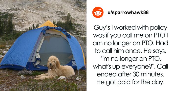 Worker Says They Lie About Camping To Set Boundaries Whilst On Vacation, Prompts Others To Share Their Tricks