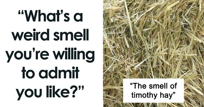 30 Smells People Willingly Admit They Love, As Shared In This Online Thread