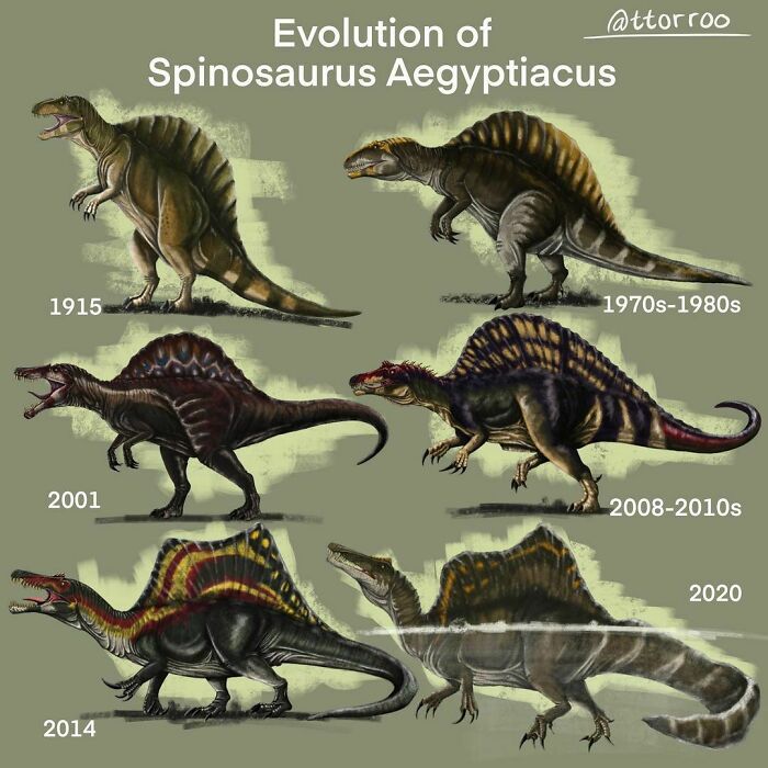 Spinosaurus Throughout The Decades