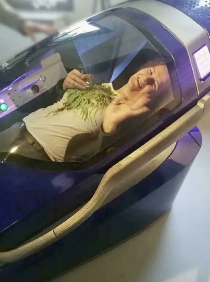 Assisted Suicide Pod Approved For Use In Switzerland. At The Push Of A Button, The Pod Becomes Filled With Nitrogen Gas, Which Rapidly Lowers Oxygen Levels, Causing Its User To Die