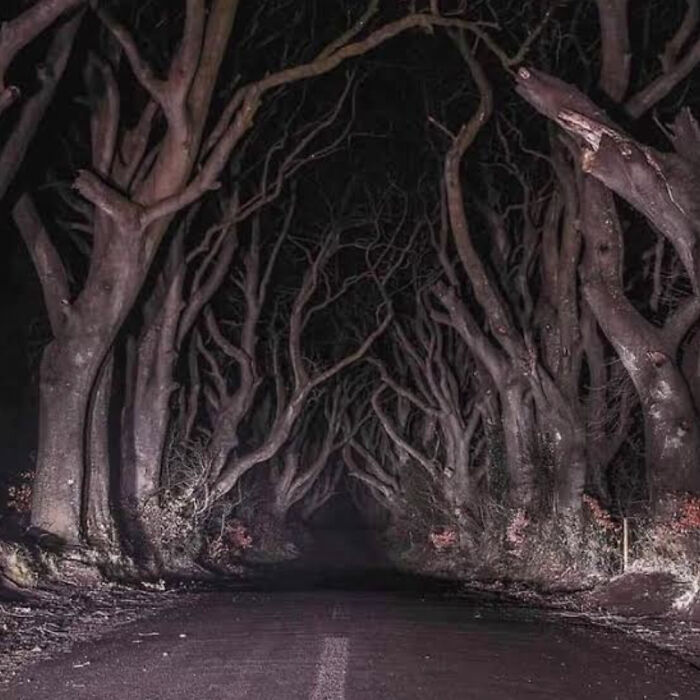 This Road In Northern Ireland 