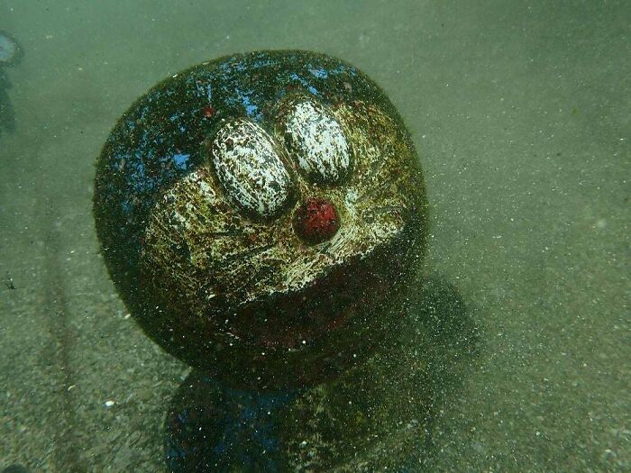 Apparently This Submerged Little Guy Was Found After 20 Years