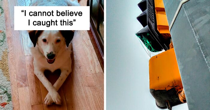 54 Times People Captured Perfect Moments And Just Had To Share Pics On This Online Community