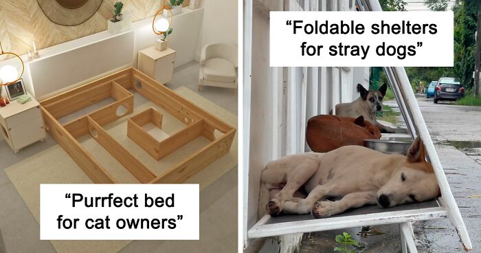 117 Genius Pet Inventions