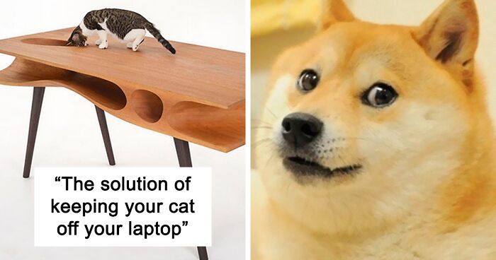 117 Genius Pet Inventions You Didn't Know You Needed To Be The Coolest Pet Owner