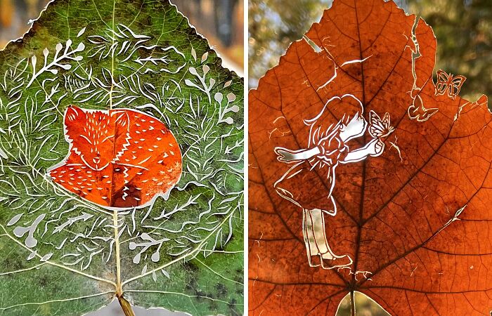 I Made Cutouts On A Real Tree Leaf (13 Pics)