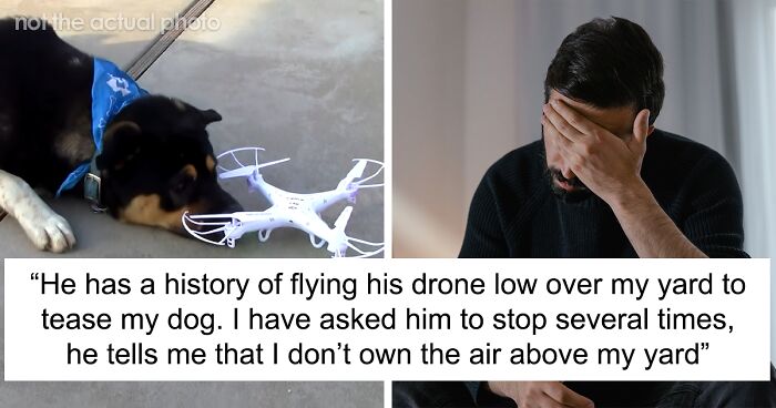 Guy Sues Neighbor Because His Dog Destroyed His Drone, But He Comes Prepared, Costing Him $2,000 And Possibly The Ability To Ever Fly A Drone