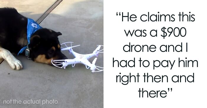 Neighbors Learns A $2,000 Lesson About Being A Jerk And Teasing Animals With Drones