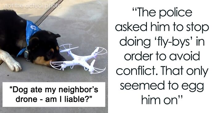 “He Shredded The Drone”: Dog Shreds Annoying Neighbor’s Flying Toy, He Takes The Owner To Court