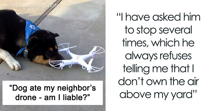 Guy Keeps Flying His Drone In The Neighbor's Yard, Trying To Annoy Their Dog On Purpose, Is Livid When The Dog Actually Catches It