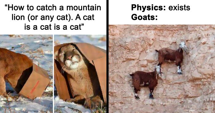 127 Hilariously Nerdy Jokes Posted On The “Science Humor” Facebook Group (New Pics)