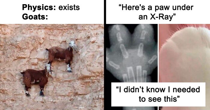 “Science Humor”: 127 New Funny Posts For Your Inner Nerd