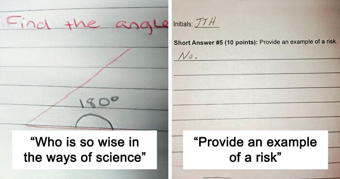 114 Genius Ways To Answer Exam Questions When You Haven’t Studied At All (New Pics)