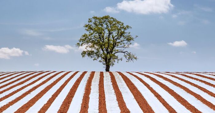 These Incredible Photographs Of Great Britain's Landscape Were Picked As The Finest Of The Year 2022 (127 Pics)