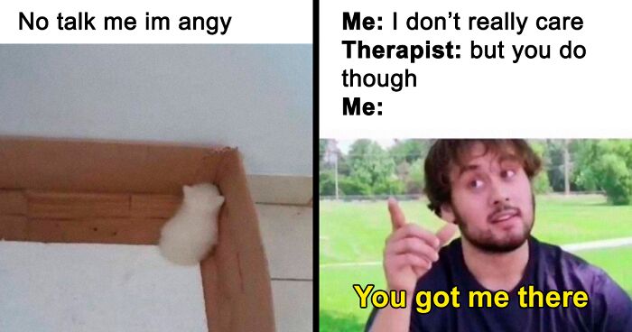 'Memes To Discuss In Therapy': 35 Painfully Hilarious Memes That Might Make You Laugh If You Have Crushing Anxiety