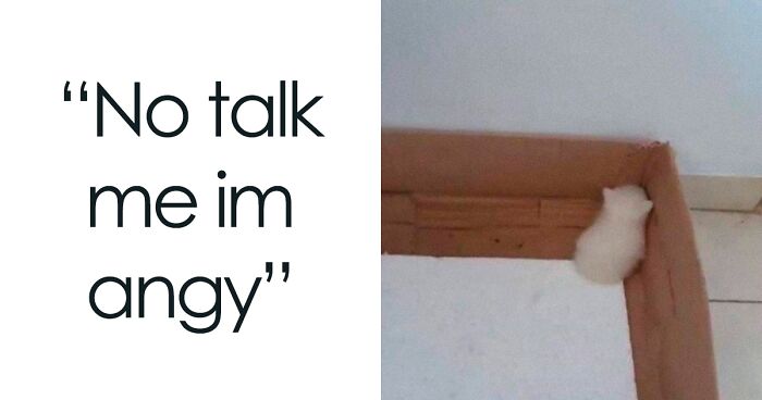 'Memes To Discuss In Therapy': 49 Painfully Hilarious Memes That Might Make You Laugh If You Have Crushing Anxiety