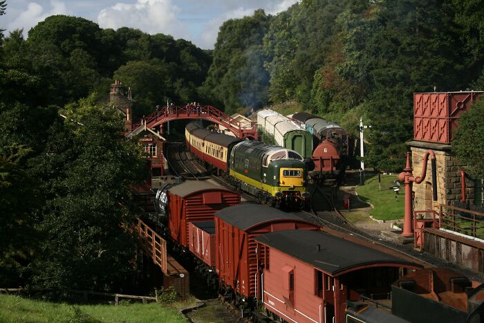 Train Station In The Forrest 