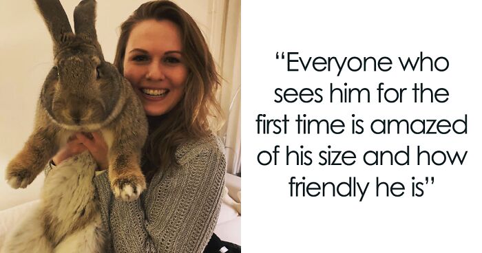 He Enjoys Cuddles And Playing Fetch: Meet Guus, A Giant 22lb Bunny Who's More Like A Dog