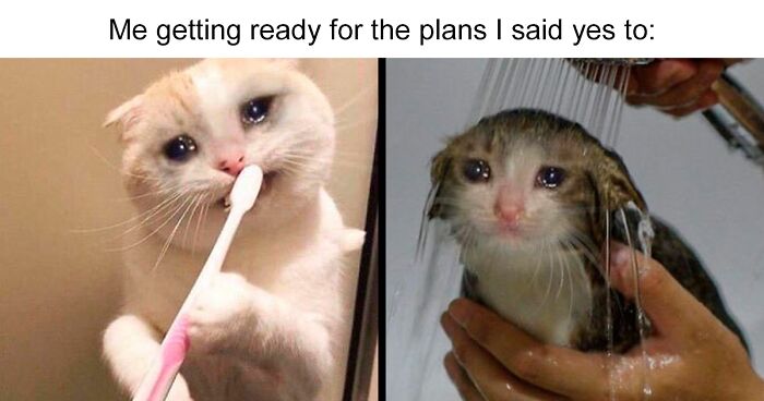 Life As An Introvert Summed Up In 91 Memes, As Shared By This Online Community