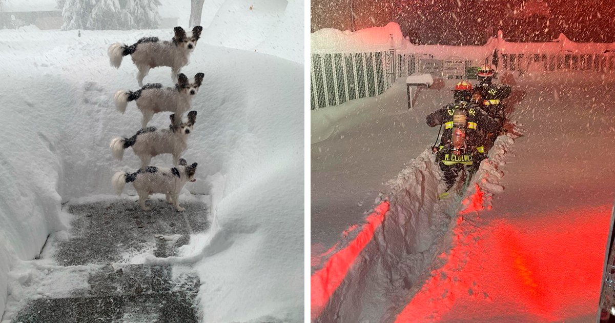 People Are Posting Wild Photos As Buffalo, New York, Digs Up From 6 Feet Of  Snow