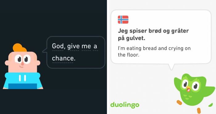 49 Of Duolingo’s Most Random And Laughable Translation Prompts, As Shared By This Dedicated Twitter Page