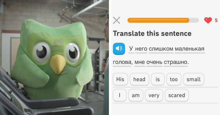 49 Times Duolingo’s Translation Prompts Picked Strangeness Over Usability, As Shared By This Twitter Account