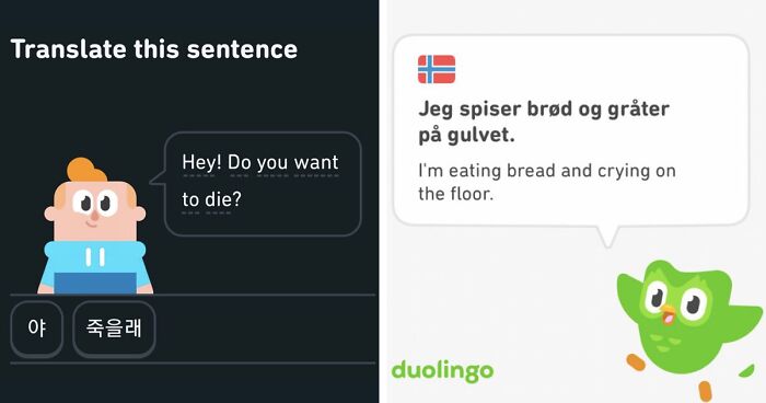 40 Of Duolingo’s Funniest And Most Random Translation Prompts, As Shared By This Twitter Account