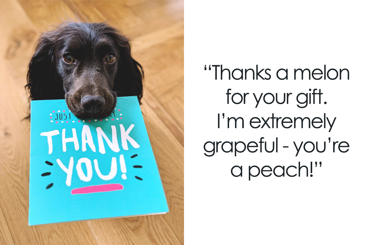 No Matter The Occasion, These 98 Funny Thank You Notes Suit Them