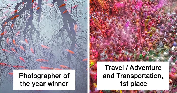 The 2021 Annual Mobile Photography Award Winners Will Make You Rethink The Need For An Expensive Camera (21 Pics)