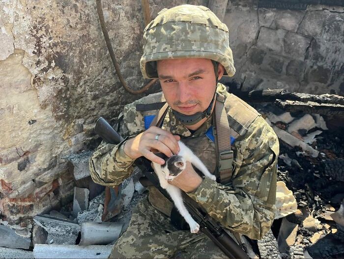 50 Photos Of Cats And Dogs Rescued By Ukrainian Soldiers, Shared By ...