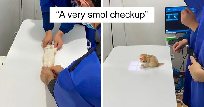 50 Hilarious And Wholesome Moments That Vets Have Experienced At Work (New Pics)