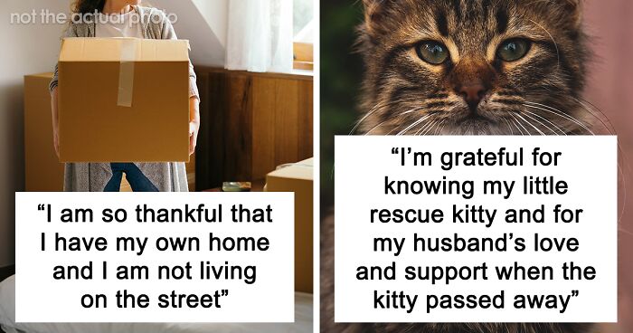 “I Am So Thankful That I Have My Own Home”: 69 Pandas Shared What They Are Thankful For