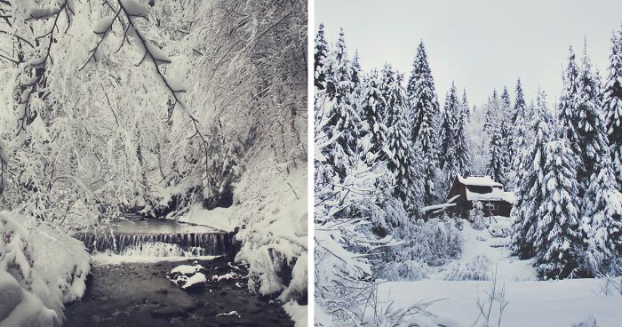 I Photographed The Beautiful And Magical Winter In The Nature Of Ukraine (31 Pics)